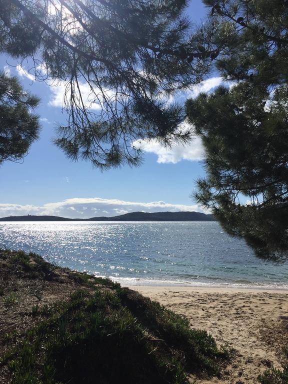 Villas Cala Corsa - 3 Et 4 Chambres - Cala Rossa Porto-Vecchio - Villas Entierement Climatisees Avec Piscine Chauffee Partagee Et Piscines Privees - Internet Gratuit Dış mekan fotoğraf