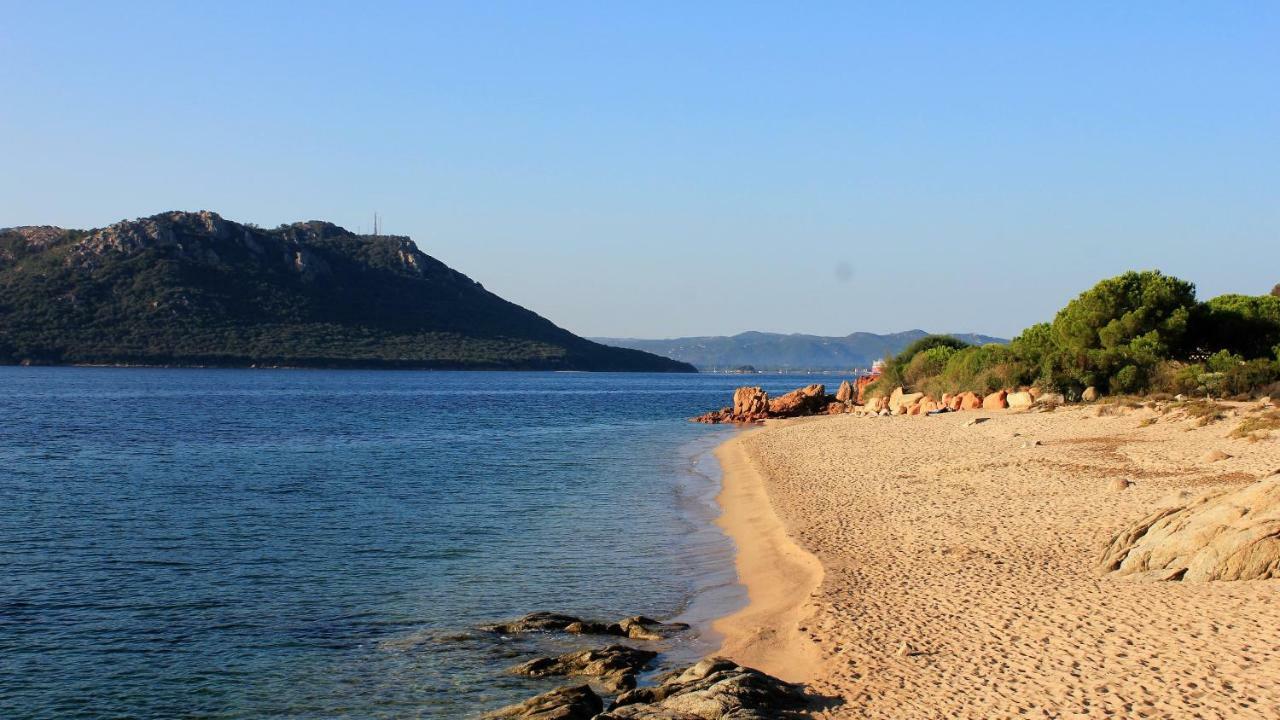 Villas Cala Corsa - 3 Et 4 Chambres - Cala Rossa Porto-Vecchio - Villas Entierement Climatisees Avec Piscine Chauffee Partagee Et Piscines Privees - Internet Gratuit Dış mekan fotoğraf